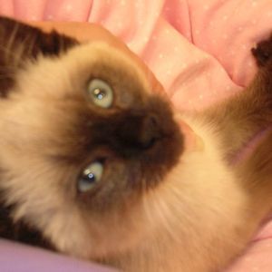 Meet your Posher, Dana